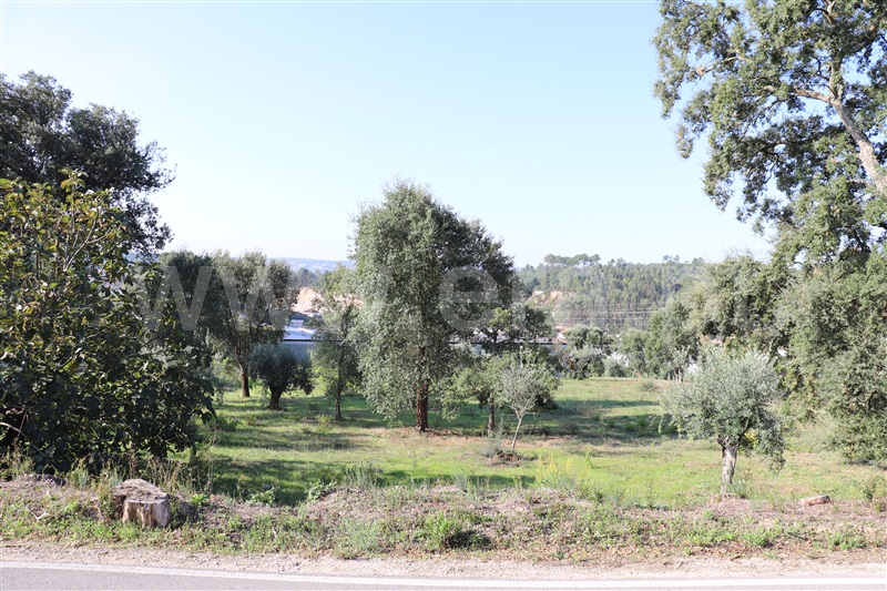 Terreno para Construção / Ourém, Nossa Senhora da Piedade