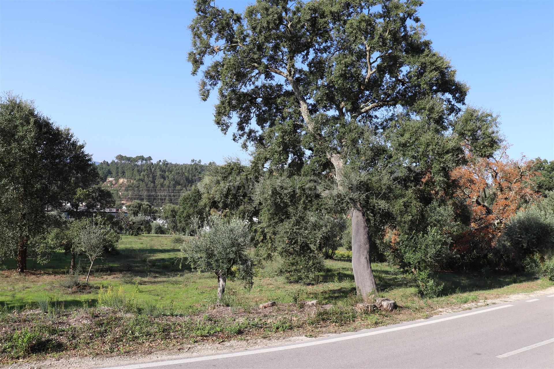 Land for sale in Ourém, Portugal — €95,000