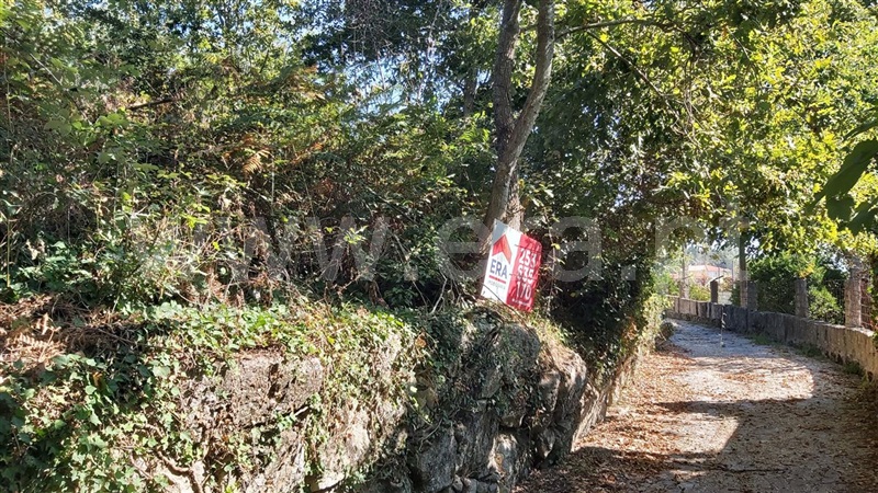 Terreno para Construção / Póvoa de Lanhoso, Vilela