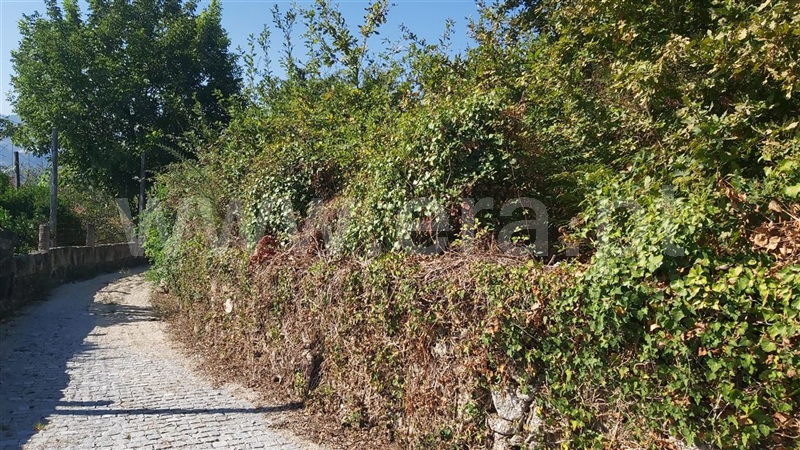 Terreno para Construção  Póvoa de Lanhoso, Vilela - 1430468 - 6
