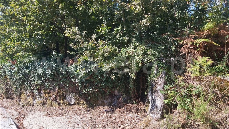 Terreno para Construção  Póvoa de Lanhoso, Vilela - 1430468 - 8