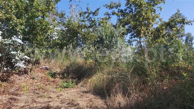 Terreno para Construção  Póvoa de Lanhoso, Vilela - 1430468 - 9