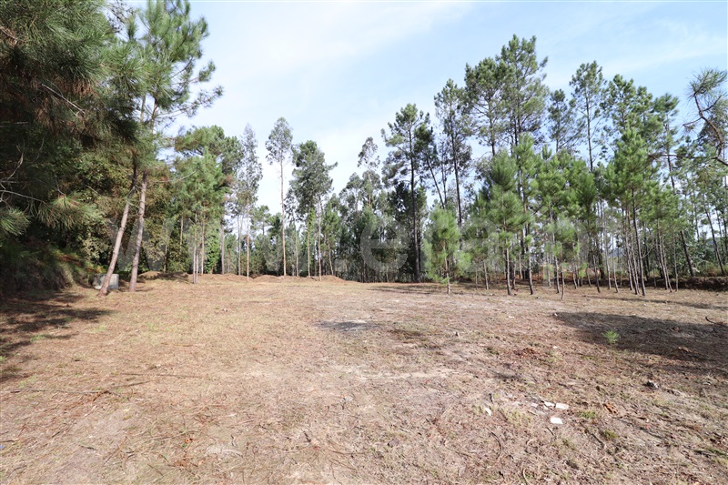 Terreno para Construção / Santa Maria da Feira, Caldas S. Jorge / Guisande