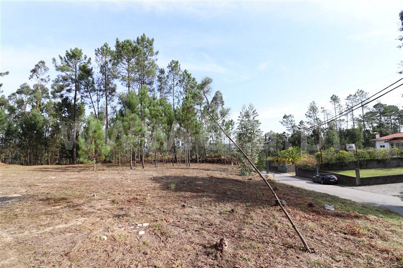 Terreno para Construção  Santa Maria da Feira, Caldas S. Jorge / Guisande - 1114090 - 4