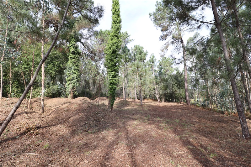 Terreno para Construção  Santa Maria da Feira, Caldas S. Jorge / Guisande - 1114090 - 6