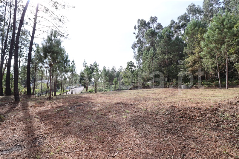Terreno para Construção  Santa Maria da Feira, Caldas S. Jorge / Guisande - 1114090 - 7