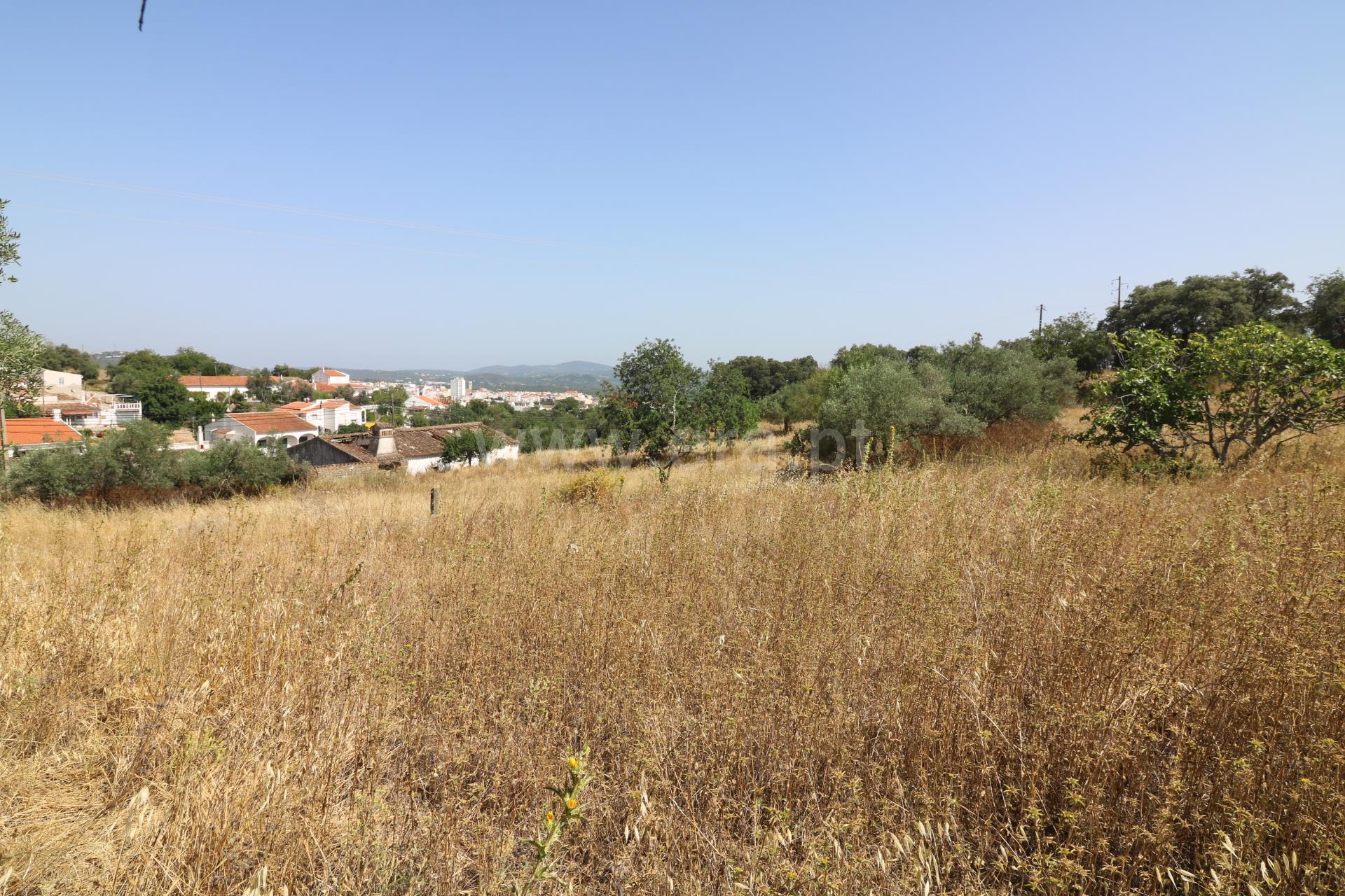 Terreno em São Brás de Alportel