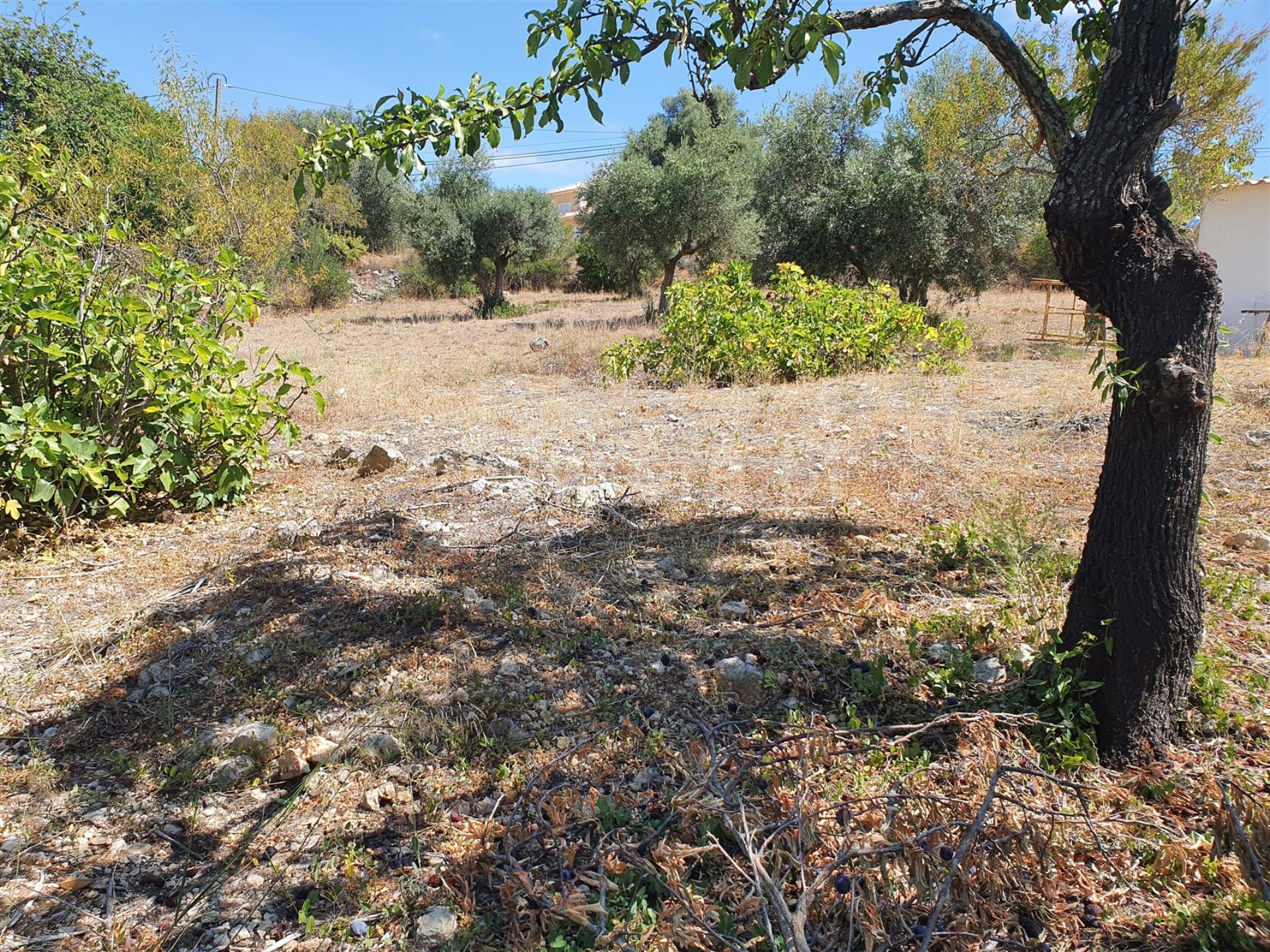 Land for sale in São Brás de Alportel, Portugal — €120,000