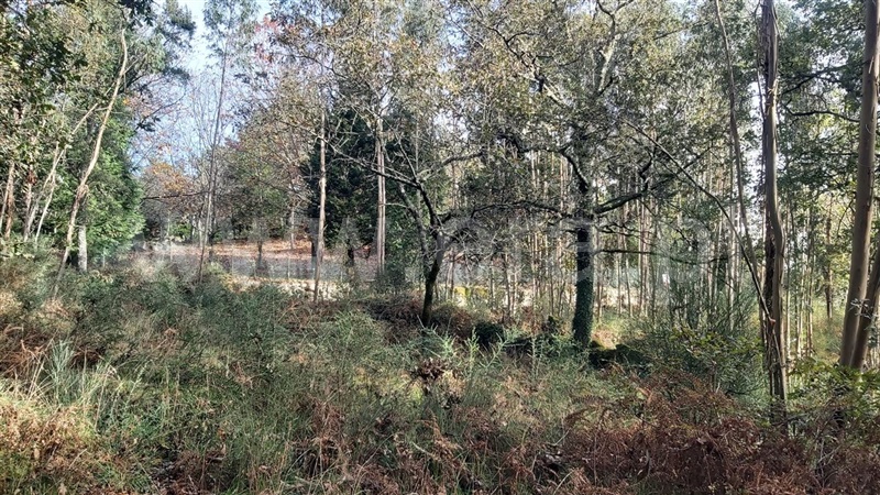 Terreno / Póvoa de Lanhoso, Campos e Louredo