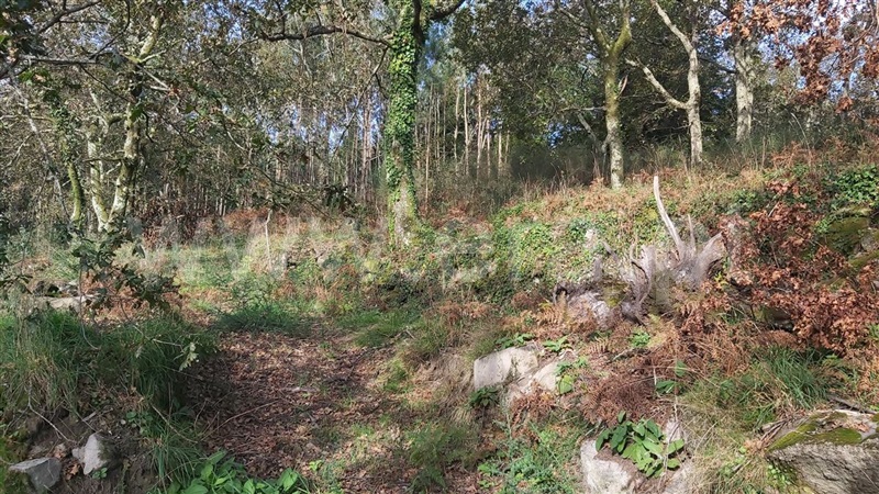 Terreno  Póvoa de Lanhoso, Campos e Louredo - 1447997 - 2