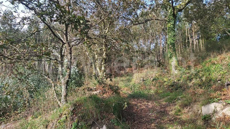 Terreno  Póvoa de Lanhoso, Campos e Louredo - 1447997 - 3