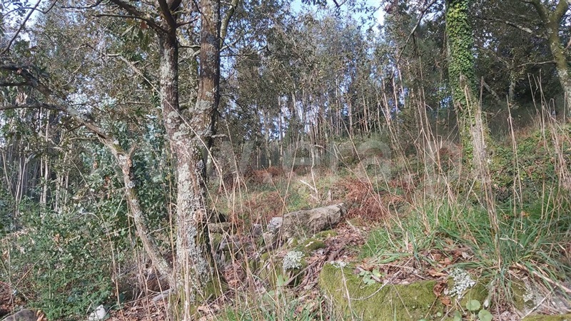 Terreno  Póvoa de Lanhoso, Campos e Louredo - 1447997 - 4