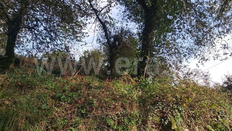 Terreno  Póvoa de Lanhoso, Campos e Louredo - 1447997 - 5