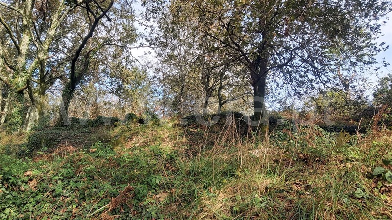 Terreno  Póvoa de Lanhoso, Campos e Louredo - 1447997 - 6