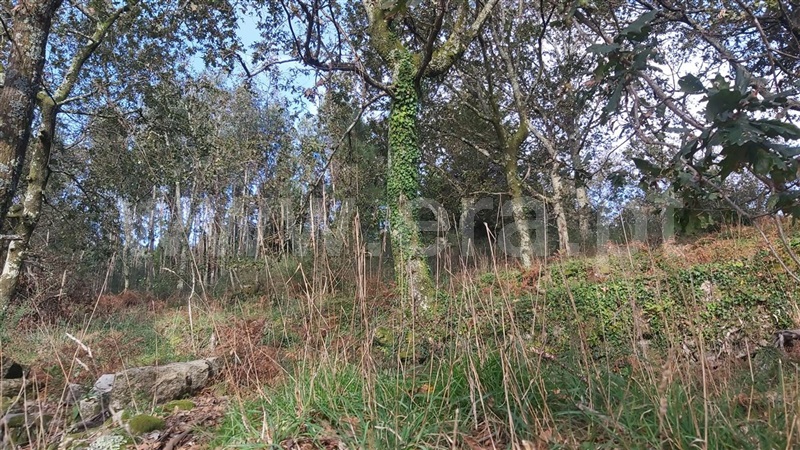 Terreno  Póvoa de Lanhoso, Campos e Louredo - 1447997 - 7