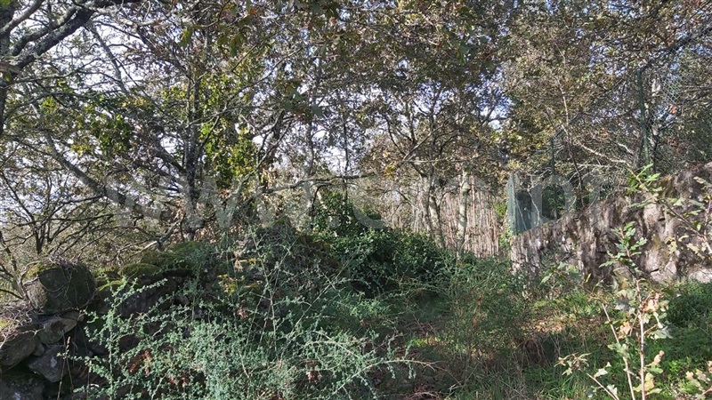 Terreno  Póvoa de Lanhoso, Campos e Louredo - 1447997 - 8