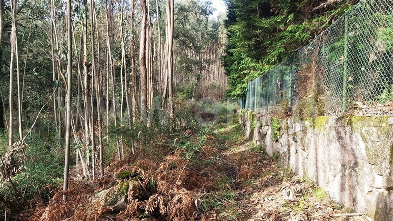Terreno  Póvoa de Lanhoso, Campos e Louredo - 1447997 - 9