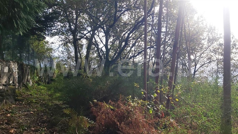 Terreno  Póvoa de Lanhoso, Campos e Louredo - 1447997 - 10