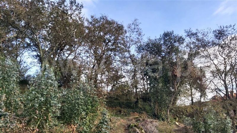 Terreno  Póvoa de Lanhoso, Campos e Louredo - 1447997 - 11