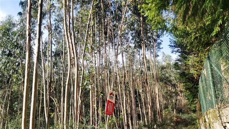 Terreno  Póvoa de Lanhoso, Campos e Louredo - 1447997 - 18