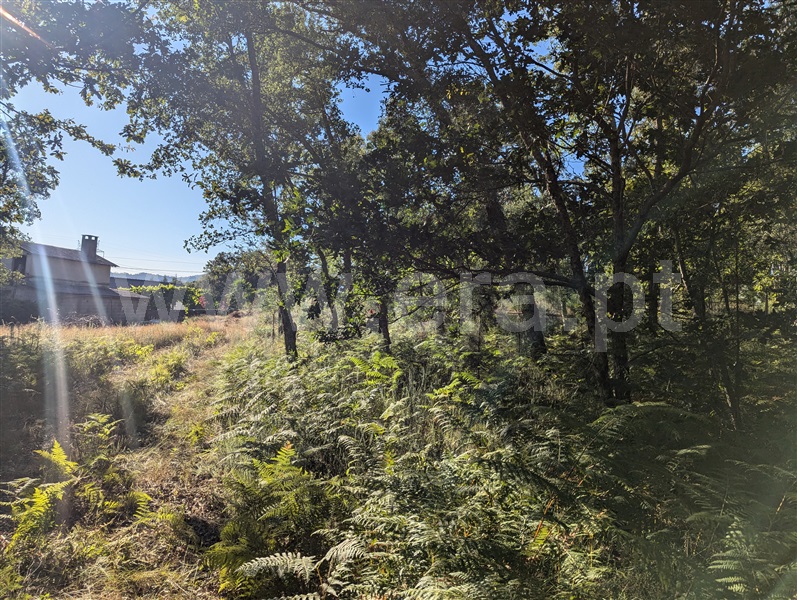 Terreno  Póvoa de Lanhoso, Verim, Friande e Ajude - 1426089 - 4