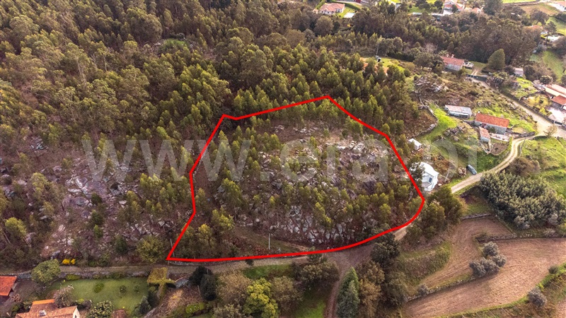 Terreno Rústico  Caminha, Riba de Âncora - 1431491 - 4