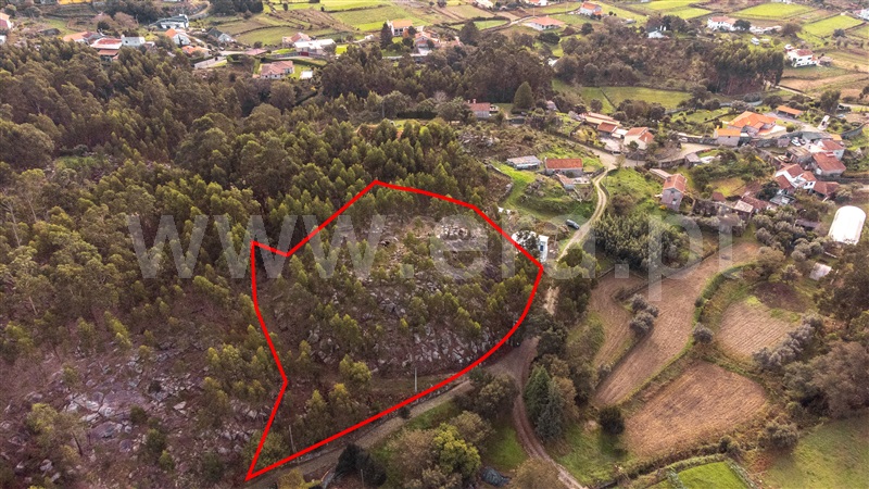 Terreno Rústico  Caminha, Riba de Âncora - 1431491 - 8