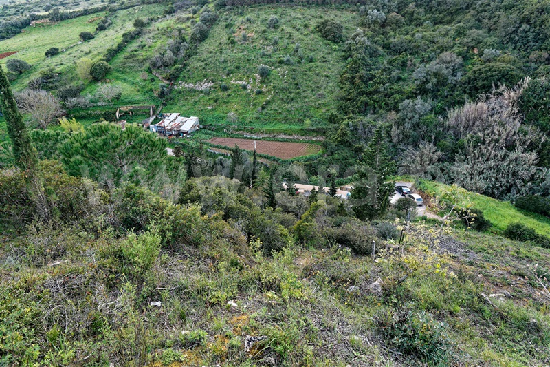 Terreno Rústico  com Rústico Loures, Ponte de Lousa - 1386345 - 12