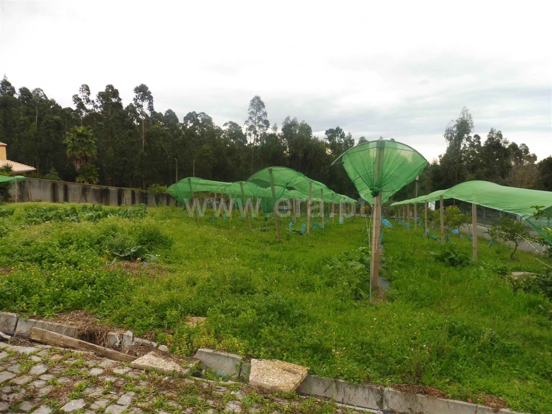 Land for sale in Santa Maria da Feira, Portugal — €69,700