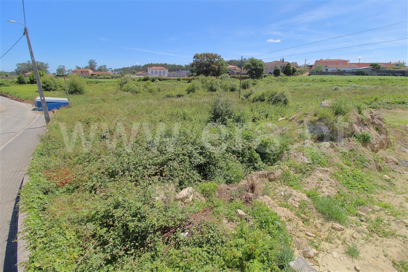 Terreno Rústico  com Agrícola Vila do Conde, Retorta - 1251466 - 5