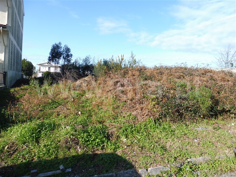 Terreno / Santa Maria da Feira, Escapães / Pigeiros